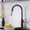 Pull Down Single Handle Kitchen Faucet with Accessories