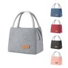 Lunch Bag Tote Bag Lunch Bag for Women Lunch Box Insulated Lunch Container